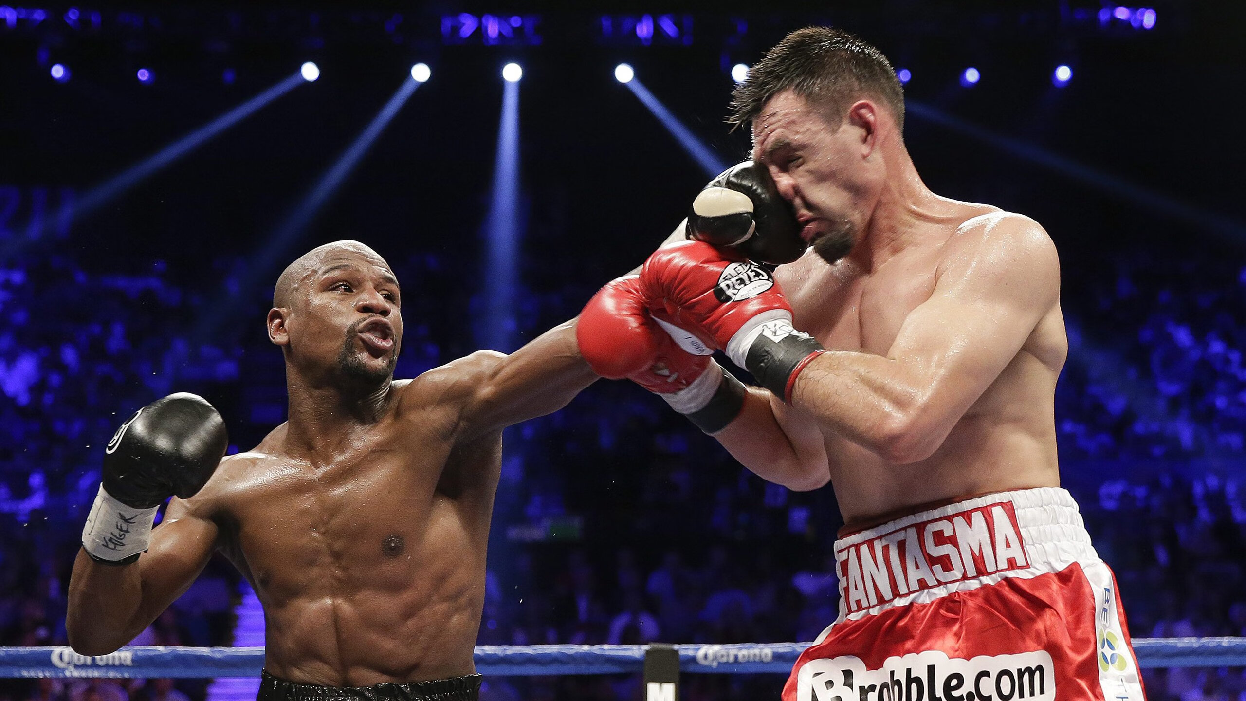 _场外花絮：明星嘉宾到场助威，现场气氛热烈_，明星场外应援是什意思