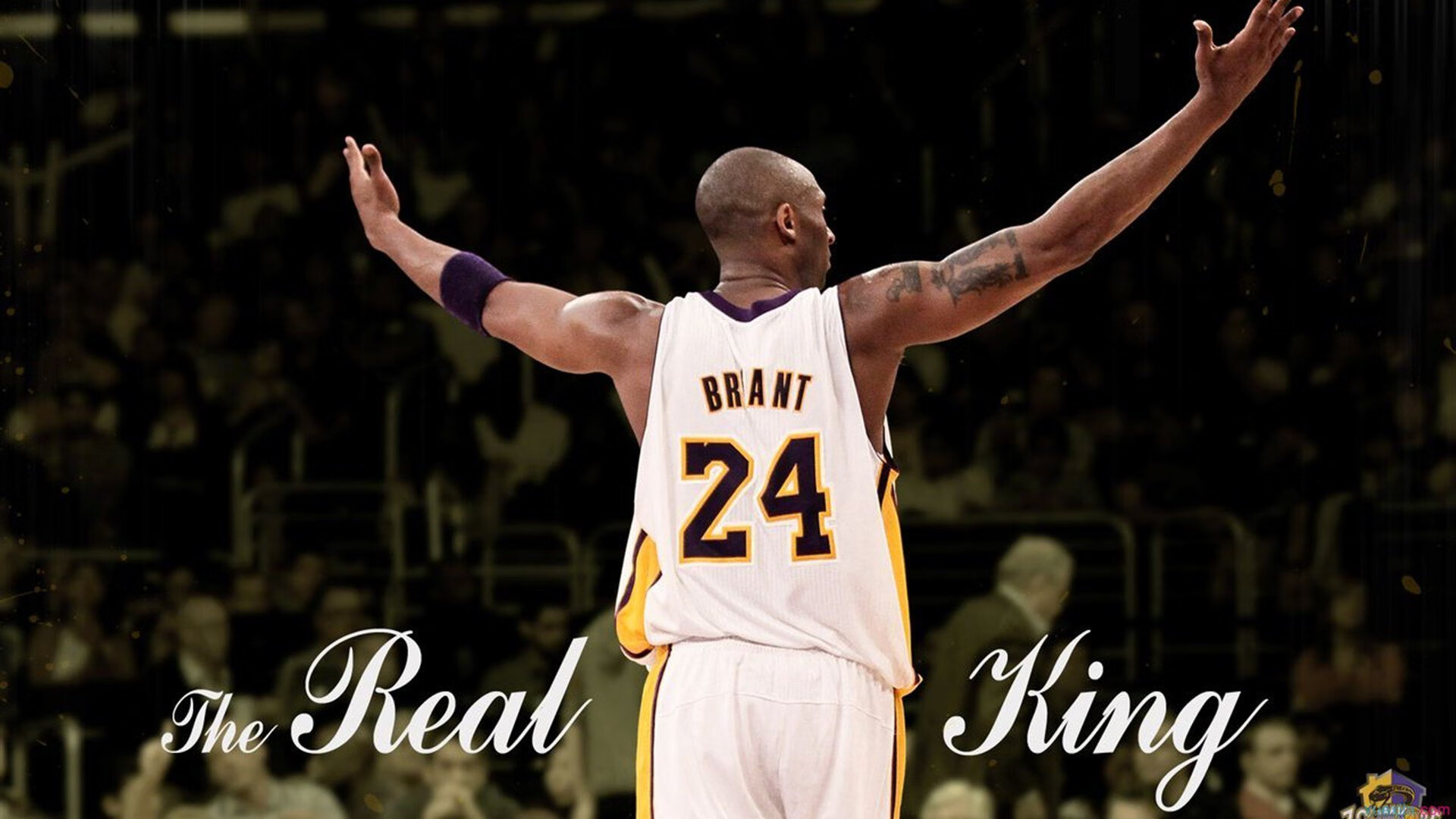 _运动员人气指数：社交媒体粉丝数量激增_，运动员粉丝排行榜最多前十名